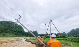 Công ty Điện lực Sơn La: Khôi phục cấp điện trở lại cho trên 15.580 khách hàng