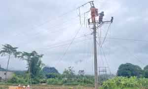  Công ty Điện lực Sơn La nhanh chóng khôi phục cấp điện