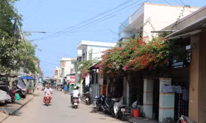 Sớm 'gỡ' các vường mắc thực hiện Dự án triển giáo dục nghề nghiệp, việc làm bền vững