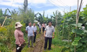 Định Quán vững bước xây dựng Nông thôn mới nâng cao 