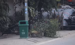 Đà Bắc nhân rộng chương trình bảo vệ môi trường sạch từ nhà, xanh từ đường