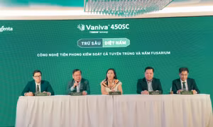 Giải pháp kiểm soát hiệu quả tuyến trùng ký sinh thực vật và nấm bệnh, bảo vệ bộ rễ cây trồng