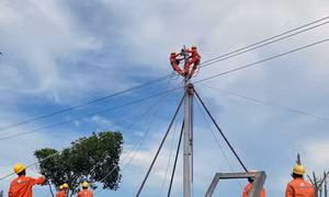 Tổng Công ty Điện lực Miền Trung tổ chức diễn tập phòng chống thiên tai
