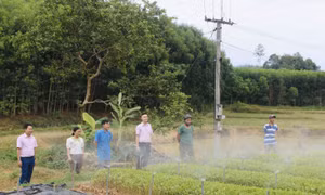 Tiếp sức cho Tân Kỳ giảm nghèo bền vững