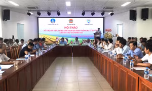 Đồng Nai hỗ trợ nông dân tham gia phát triển kinh tế tập thể gắn với tiêu thụ sản phẩm