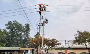 Công ty Điện lực Sơn La quản lý, vận hành hệ thống lưới điện an toàn