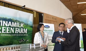 Vinamilk Green Farm – một dấu ấn rõ nét của ngành sữa Việt Nam trên hành trình phát triển bền vững