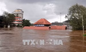 Ấn Độ đẩy mạnh chiến dịch cứu trợ, cứu nạn tại bang Kerala