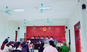 Lấy 'mác' nhân viên ngân hàng lừa đảo hơn 212 tỷ đồng của 52 nạn nhân