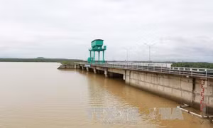 Đắk Nông tập trung khắc phục sự cố rò rỉ tại hồ thủy lợi ở huyện Đắk Song