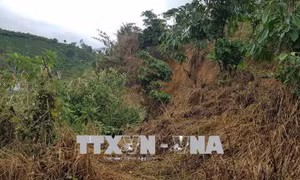 Năm ngôi nhà bị sập do sạt lở đất tại Lâm Đồng