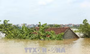 Hà Nội chủ động ứng phó với mực nước nhiều sông tăng nhanh