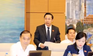 Hỗ trợ cấp bách gần 900 tỷ đồng ổn định đời sống người dân thiệt hại do lũ quét