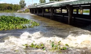 Cần Thơ chủ động ứng phó khi hai đập Tha La, Trà Sư xả lũ 