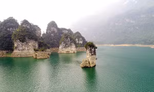 ‘Nàng tiên xanh’ của đại ngàn Tây Bắc