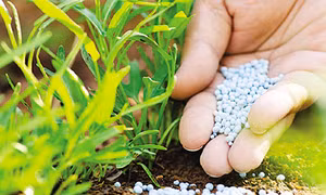 Mỹ thúc đẩy xuất khẩu phân bón sinh học sang Việt Nam