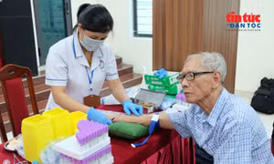 Những mẫu sinh phẩm mang hy vọng tìm lại tên cho các liệt sĩ