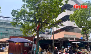 Bảo đảm trật tự đô thị Thủ đô khi giải tỏa chợ cóc, chợ tạm