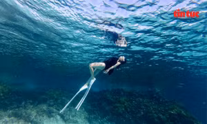 Khám phá Lý Sơn, hòn đảo được mệnh danh 'Maldives' của Việt Nam