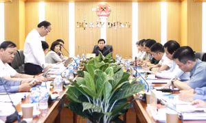 Tối ưu hóa không gian chức năng và động lực phát triển