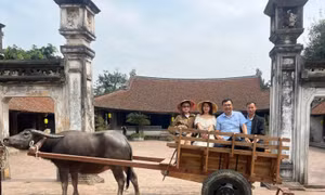 Đi xe trâu khám phá làng cổ Đường Lâm