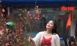 Thị trường hoa và cây cảnh Tết giữ giá chờ sức mua