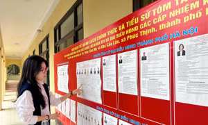 Người dân Thủ đô phấn khởi hướng về ngày hội non sông