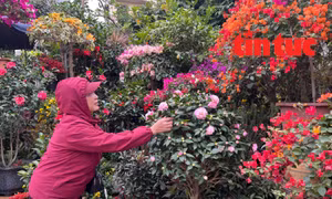 Người lao động Thủ đô vượt giá rét để mưu sinh 