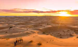 10 sự thật thú vị về sa mạc Sahara