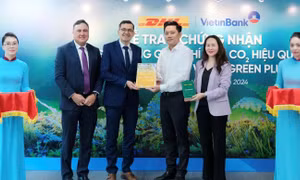 DHL Express hỗ trợ VietinBank giảm phát thải khí nhà kính thông qua dịch vụ GoGreen Plus