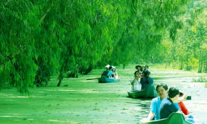Màu xanh mê hoặc của rừng tràm Trà Sư mùa nước nổi