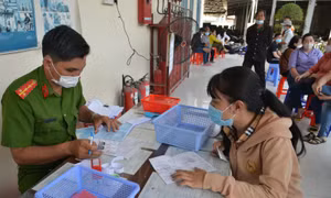 TP Hồ Chí Minh: Bố trí 50% số lượng cán bộ, công chức làm việc online