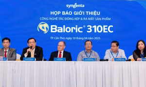Syngenta Việt Nam ra mắt sản phẩm Baloric®310EC - giải pháp diệt cỏ tối ưu cho nông dân trồng lúa