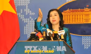 Theo dõi sát vụ việc hai lao động Việt Nam bị ngược đãi tại Hàn Quốc