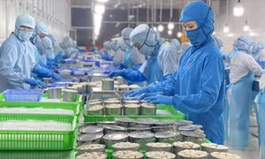 Doanh nghiệp Việt xây dựng ‘hộ chiếu xanh’ xuất khẩu vào thị trường Halal