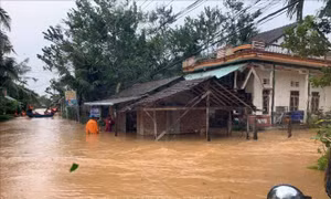 Tin nổi bật ngày 28/10
