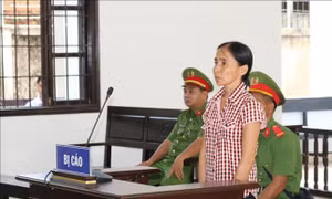 15 năm tù cho nữ kế toán ngân hàng tham ô 2 tỷ đồng