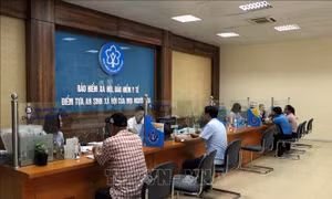 Doanh nghiệp phải công khai việc đóng bảo hiểm xã hội, bảo hiểm y tế