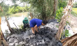 Lũ dâng cao, đe dọa sạt lở các tuyến đê bao ven sông Hậu