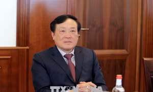 Không ủng hộ phục hồi bằng cử nhân cho thẩm phán dùng bằng giả