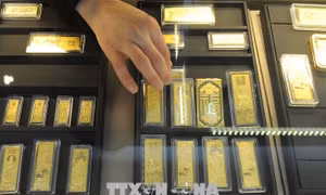 Tuần trồi sụt của giá vàng trong nước 