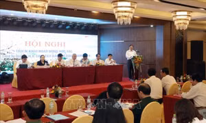 Tăng cường liên kết phát triển du lịch giữa 8 tỉnh Tây Bắc mở rộng