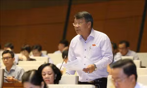 Đại biểu Quốc hội: Hành xử thiếu quy chuẩn của trẻ con nếu 'đổ hết cho nhà trường' sẽ rất bất công