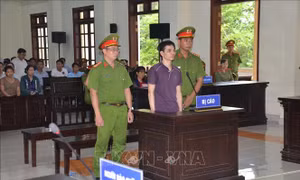 Phát tán thông tin chống phá Nhà nước trên mạng xã hội, lĩnh án 6 năm tù