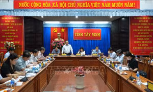 Đề nghị khảo sát, đánh giá ô nhiễm môi trường khu vực biên giới tỉnh Tây Ninh