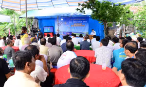 Khánh thành cây cầu dày 44 mét làm từ nắp chai bia tái chế