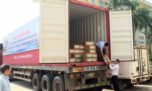 Tuyên Quang: Tăng cường chế biến và phát triển thị trường nông, lâm, thủy sản 