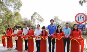 Tái chế nắp chai bia: Hành động nhỏ, ý nghĩa lớn