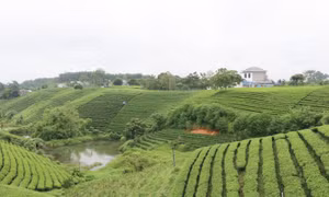 Huyện Đại Từ (Thái Nguyên) phát triển du lịch sinh thái gắn với bảo tồn, phát huy giá trị văn hóa dân tộc