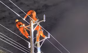 Tổng công ty Điện lực miền Nam đảm bảo cung cấp điện cho người dân vui xuân đón Tết